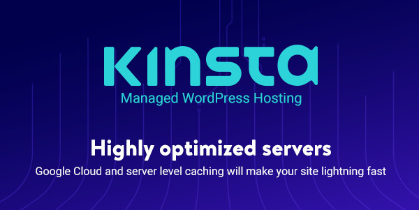 Kinsta premium WordPress hosting
